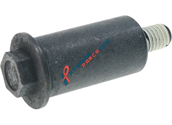 EKSANTRİK YAY GERGİSİ İX35/SPORTAGE 24371-2F000